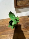 Grenouille Roi - Photophore & Tirelire - 15 x 12 x 15 cm