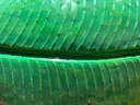 Décoration Murale "Feuille de Bananier" Verte - 70 x 26 x 2 cm