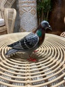 Pigeon - 20 x 10 x 23 cm