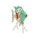 FIDO85-03(2).webp