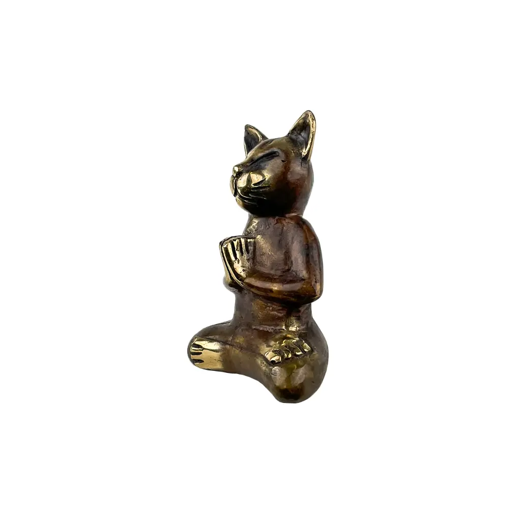 CATYOGBZ13-02(6).webp