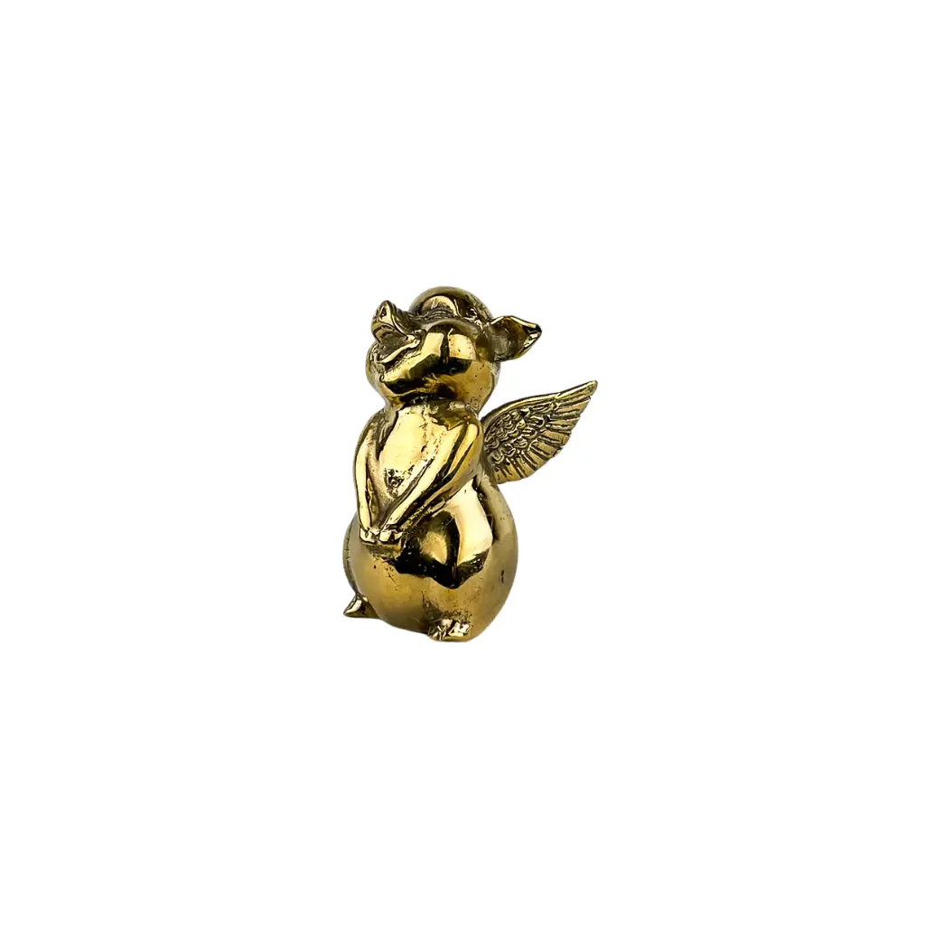 PIGFLYBZ9(7).webp