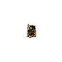 OWLBZ4(6).webp