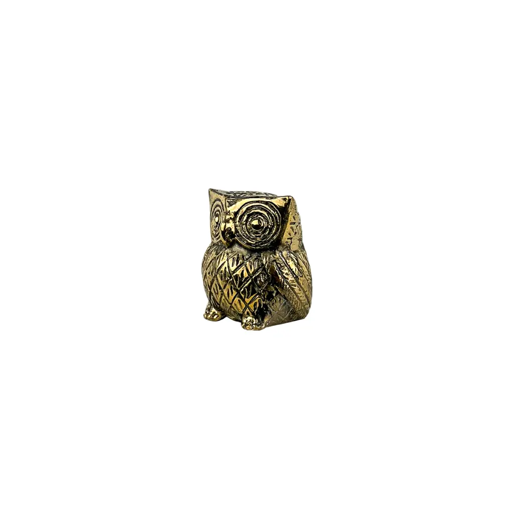 OWLBZ6(6).webp