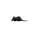 MOUSEBZ3(6).webp