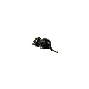 MOUSEBZ3(5).webp