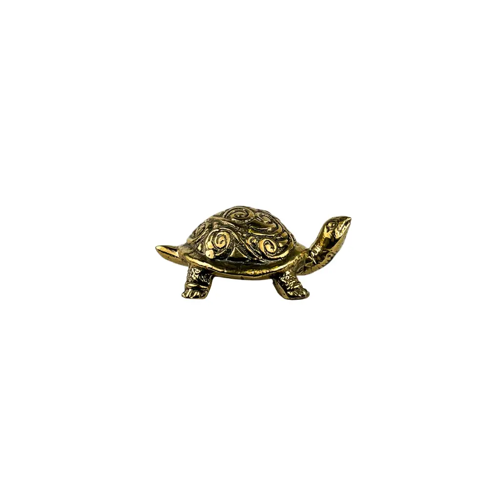 TURTLBZ3(3).webp