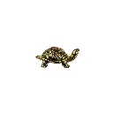 TURTLBZ3(3).webp
