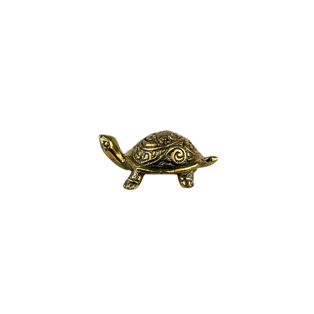 TURTLBZ3(5).webp