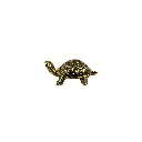 TURTLBZ3(5).webp