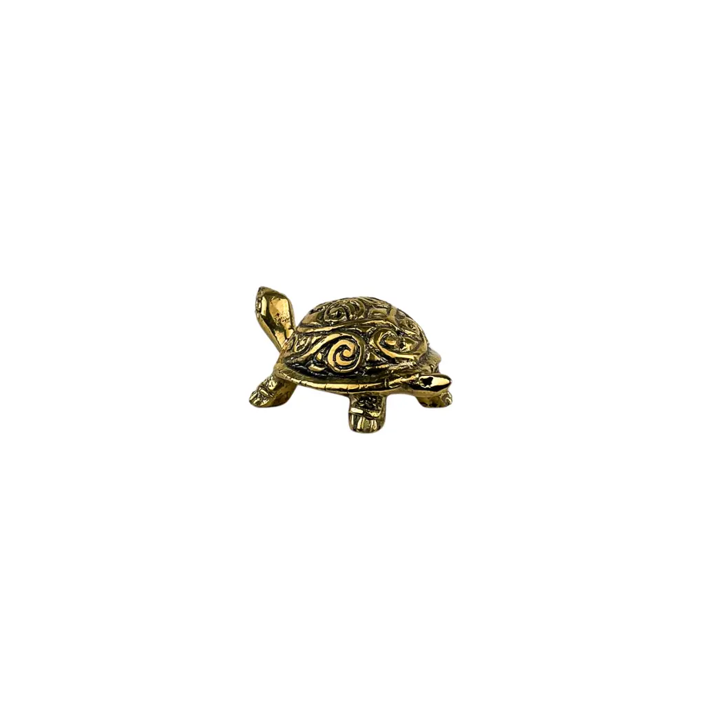 TURTLBZ3(6).webp