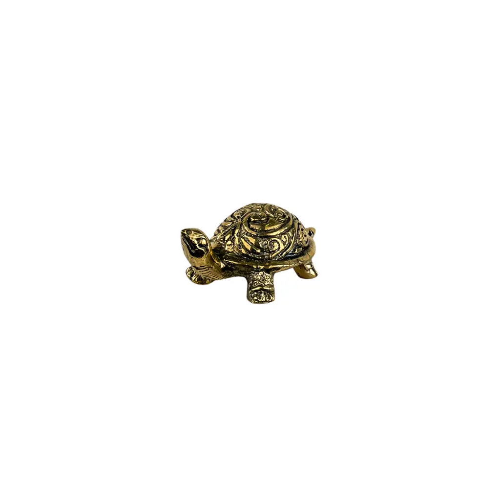 TURTLBZ3(7).webp