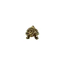 TURTLBZ3(4).webp