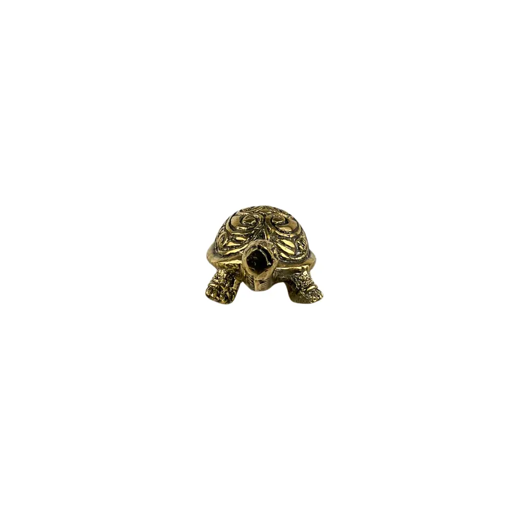 TURTLBZ3(1).webp
