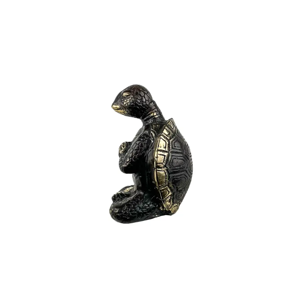 TURTLYOGBZ10-02(6).webp