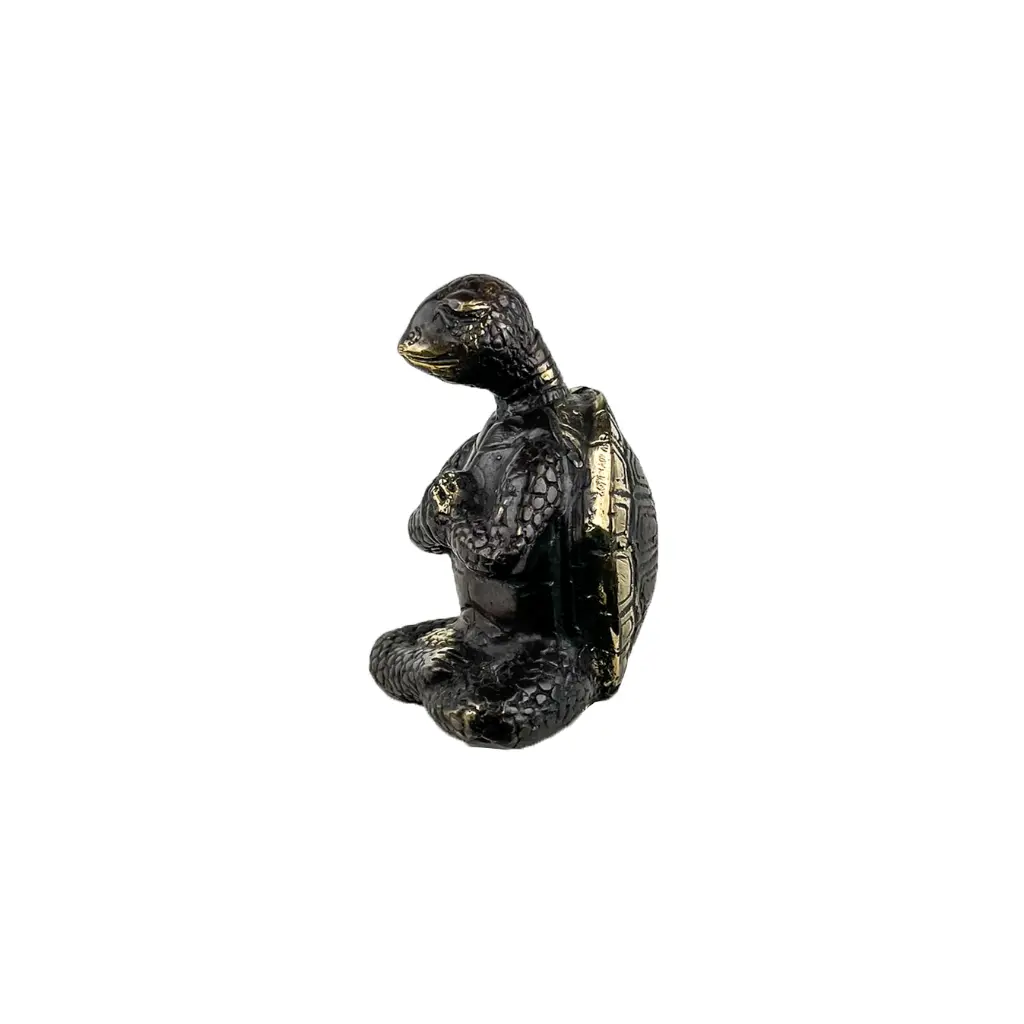 TURTLYOGBZ10-02(5).webp