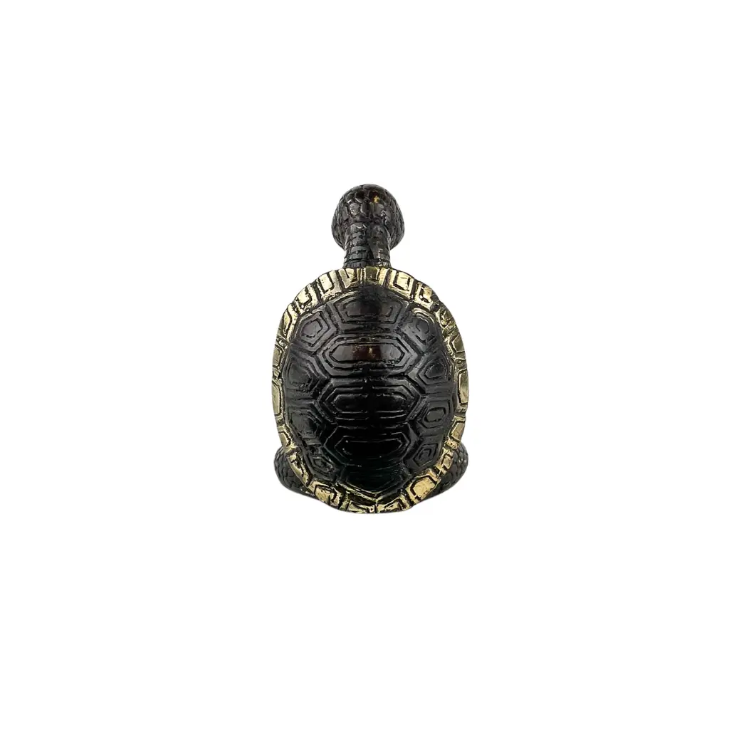 TURTLYOGBZ10-02(4).webp