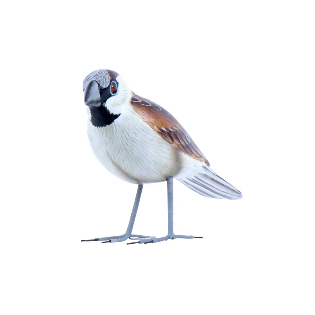 BIRDW10-01 (House Sparrow-Moineau Domestique) (6).webp