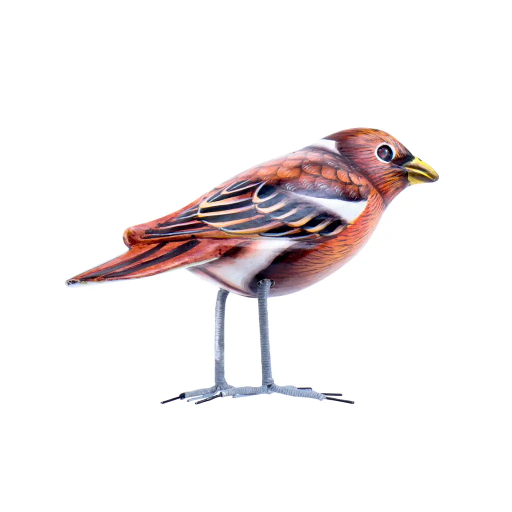 BIRDW10-05 (Sparrow-Moineau) (3).webp