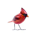 BIRDW10-12 (Northern Cardinal-Cardinal Rouge) (1).webp