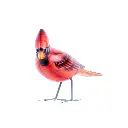BIRDW10-12 (Northern Cardinal-Cardinal Rouge) (6).webp