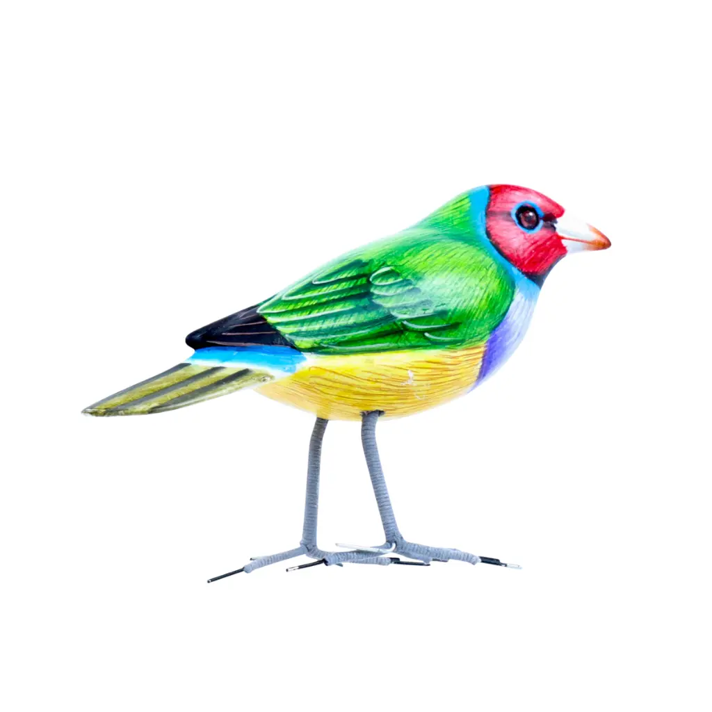 BIRDW10-10 (Gouldian Finch-Diamant de Gould) (3).webp