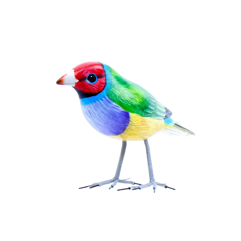 BIRDW10-10 (Gouldian Finch-Diamant de Gould) (6).webp