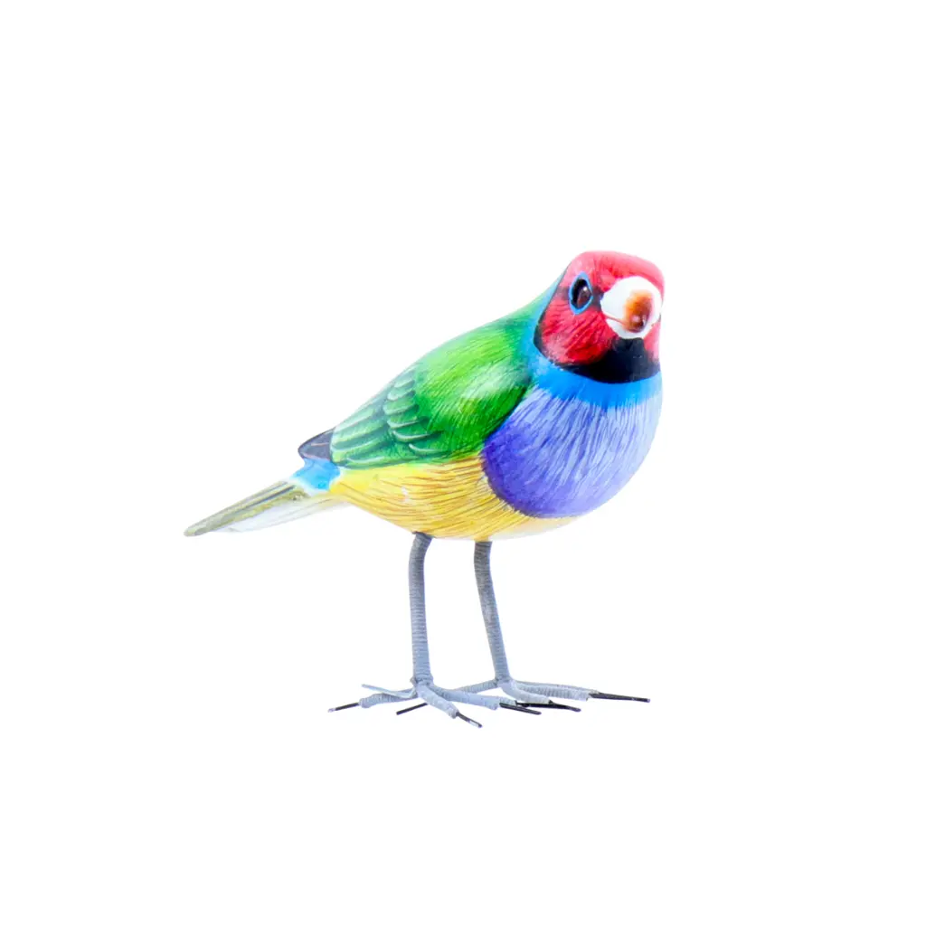 BIRDW10-10 (Gouldian Finch-Diamant de Gould) (1).webp