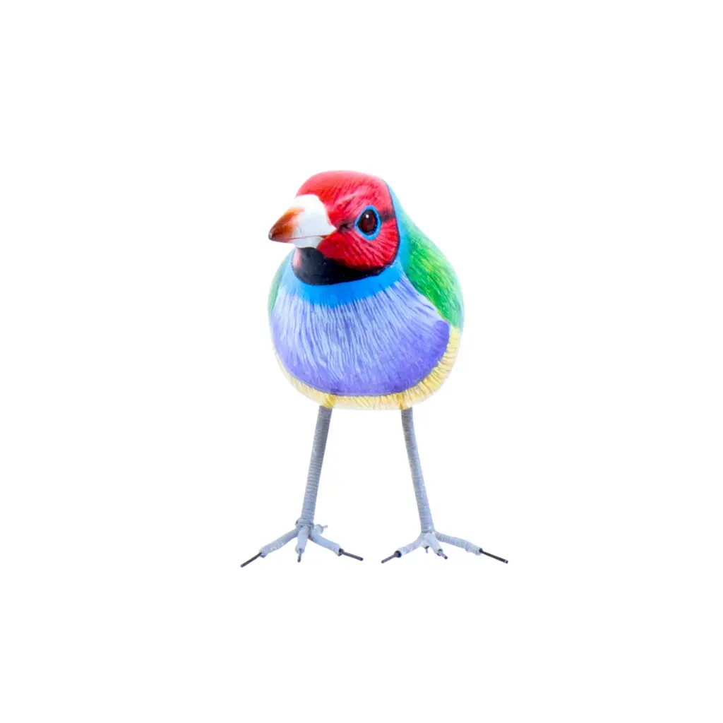 BIRDW10-10 (Gouldian Finch-Diamant de Gould) (7).webp