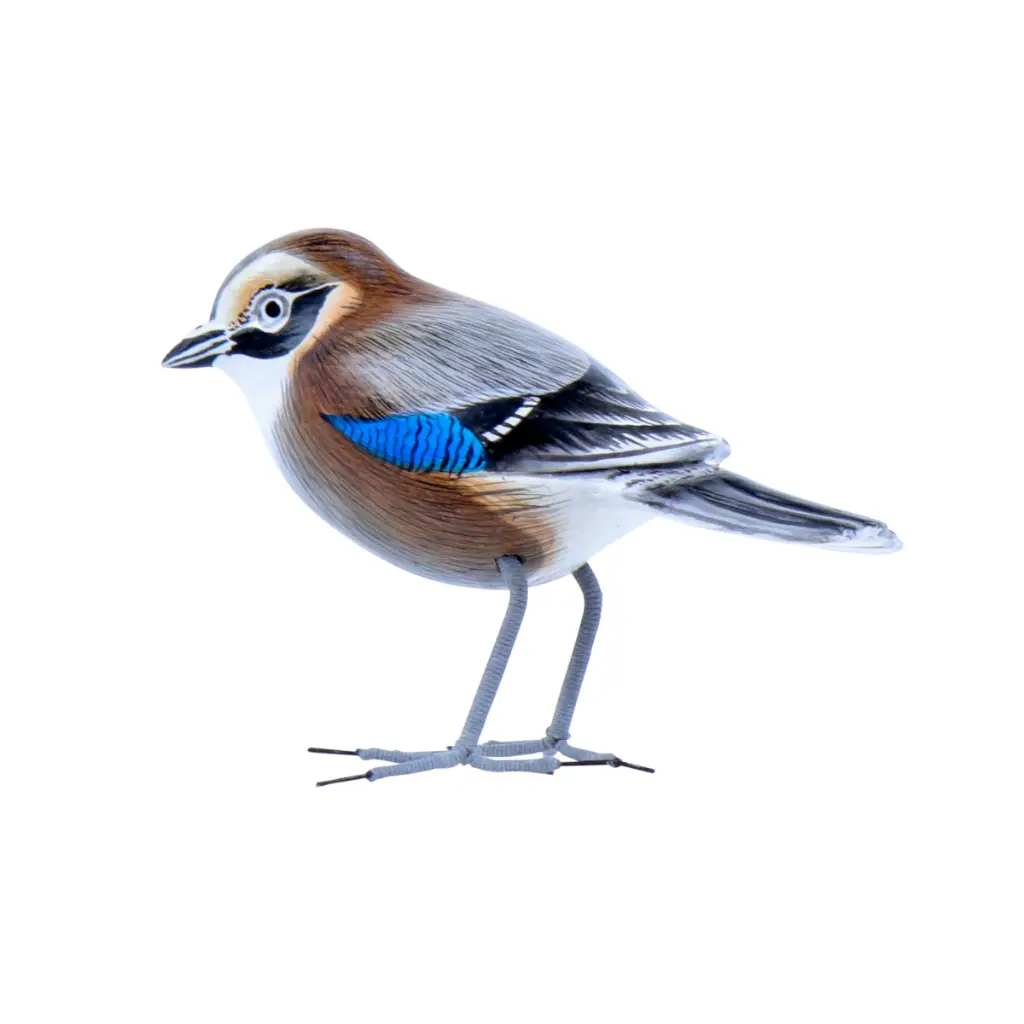 BIRDW10-07 (Jay-Geai) (4).webp