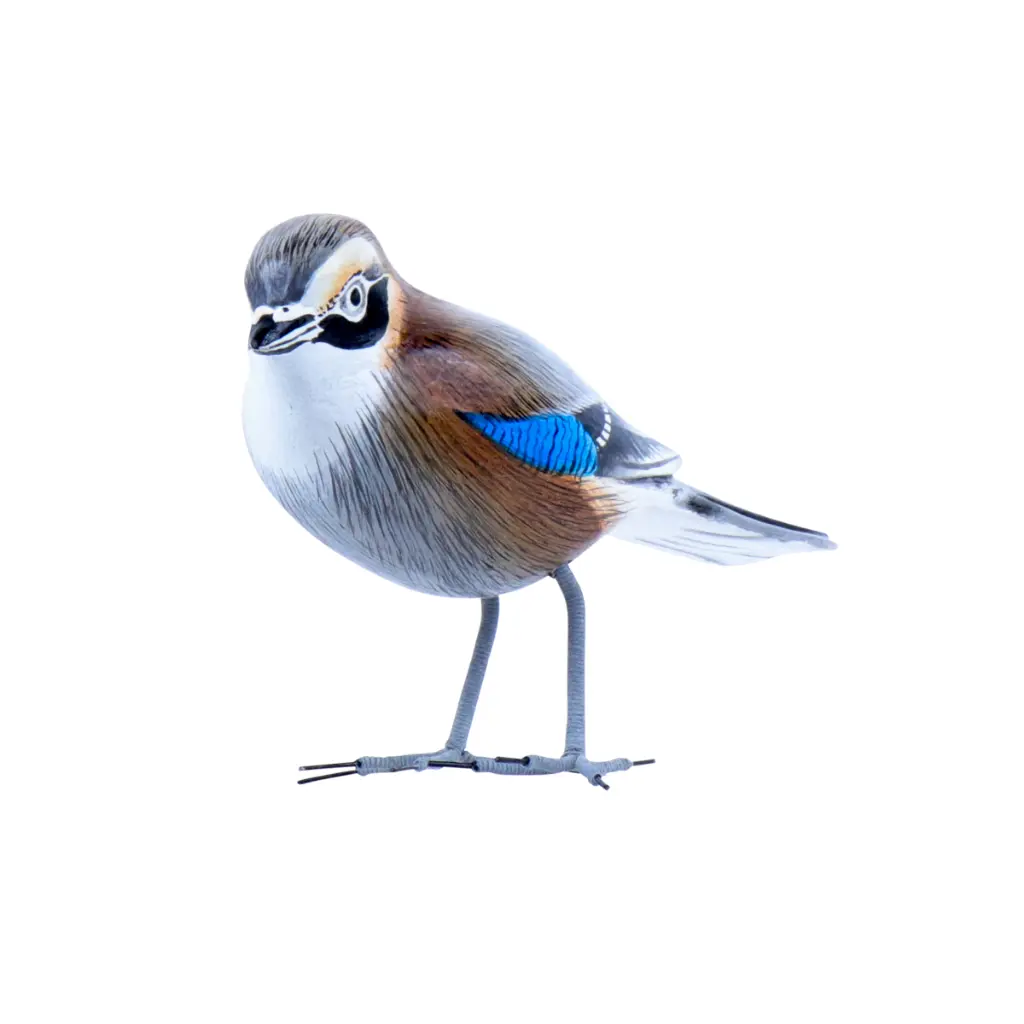 BIRDW10-07 (Jay-Geai) (6).webp