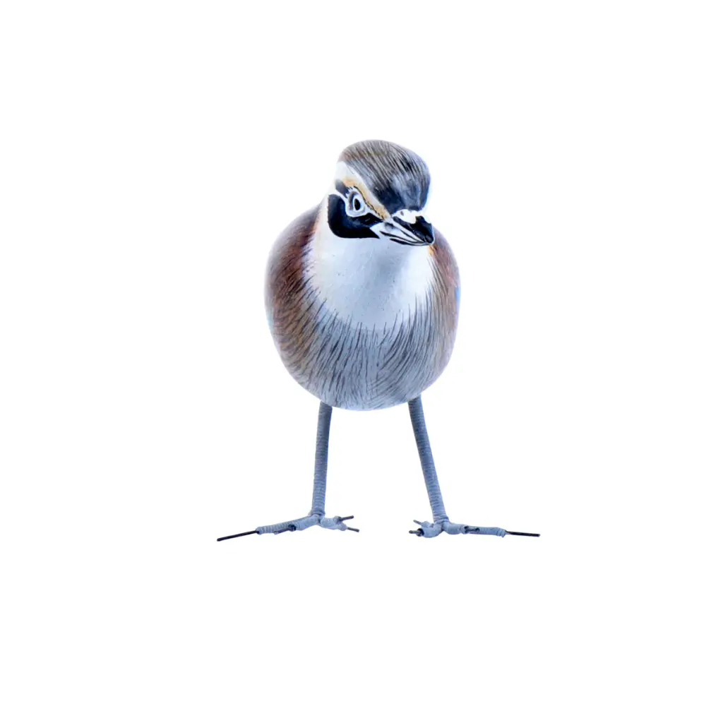 BIRDW10-07 (Jay-Geai) (7).webp