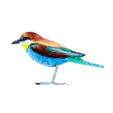 BIRDW10-11 (Bee-Eater-Guêpier) (5).webp