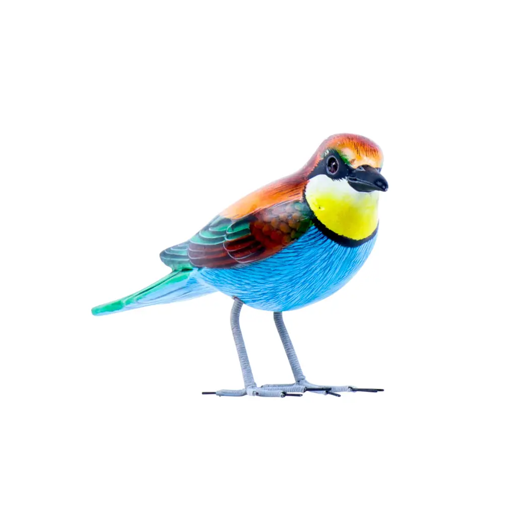 BIRDW10-11 (Bee-Eater-Guêpier) (1).webp