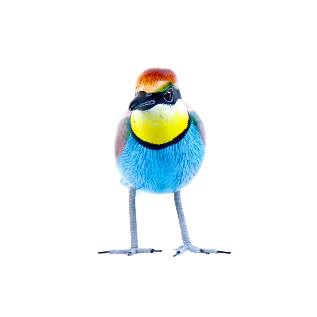 BIRDW10-11 (Bee-Eater-Guêpier) (7).webp