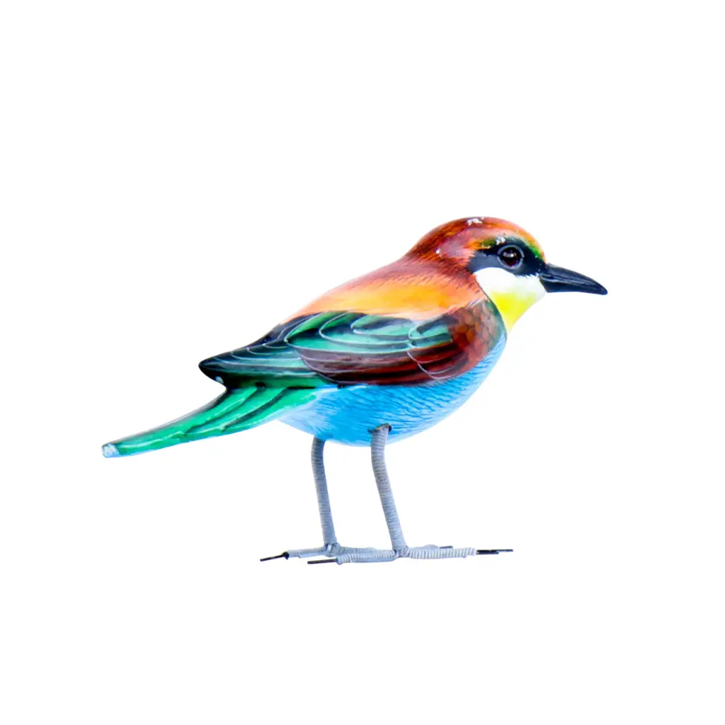 BIRDW10-11 (Bee-Eater-Guêpier) (3).webp