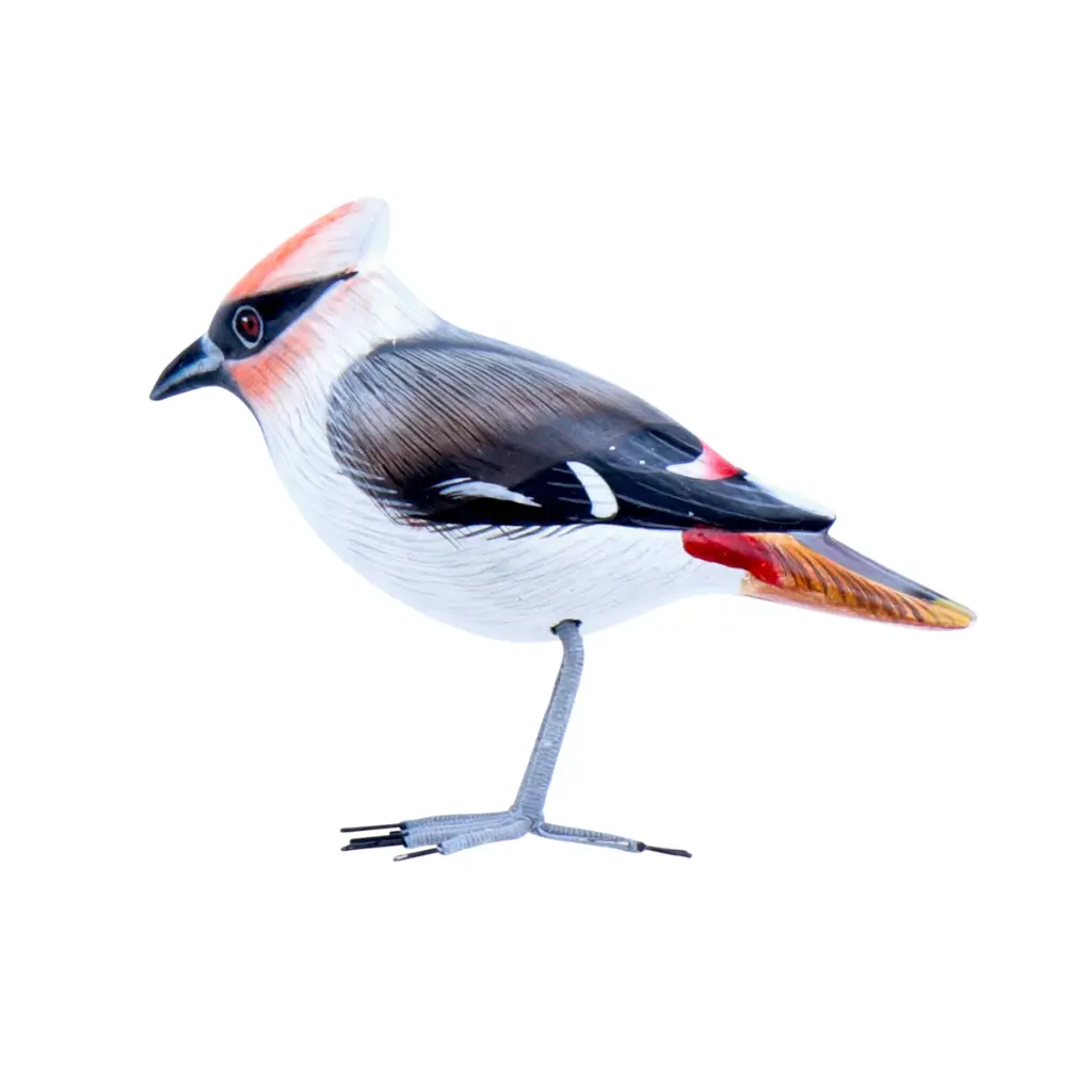 BIRDW10-09 (Waxwing-Jaseur) (5).webp