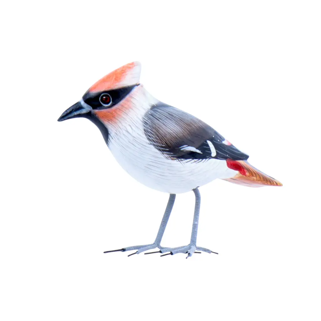 BIRDW10-09 (Waxwing-Jaseur) (6).webp