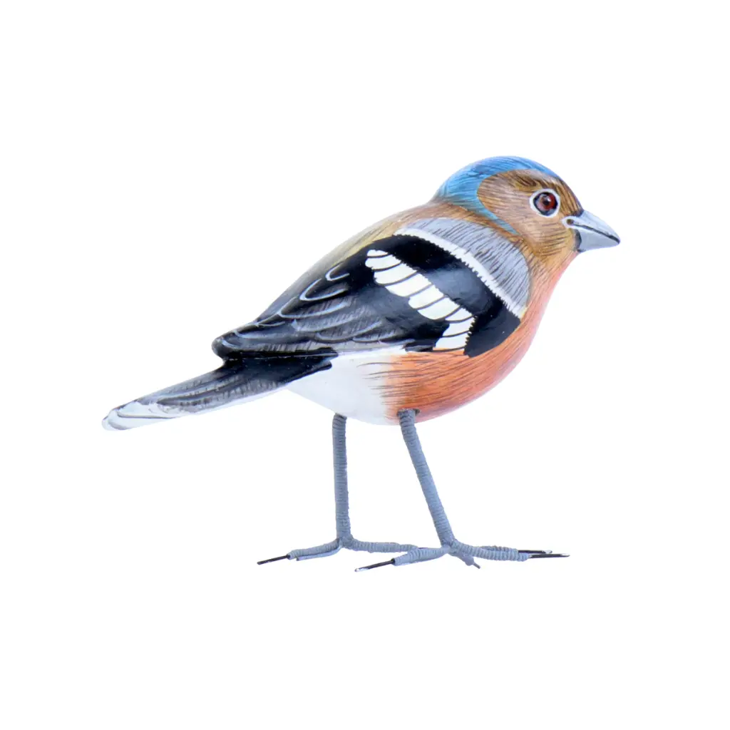 BIRDW10-08 (Chafinch-Pinson) (3).webp