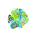 FISHDA15-02 (3).webp