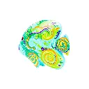 FISHDA15-02 (4).webp