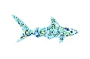 SHARKDA22-02 (2).webp