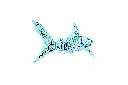 SHARKDA22-02 (3).webp