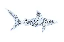 SHARKDA22-01 (2).webp