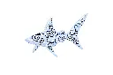 SHARKDA22-01 (6).webp