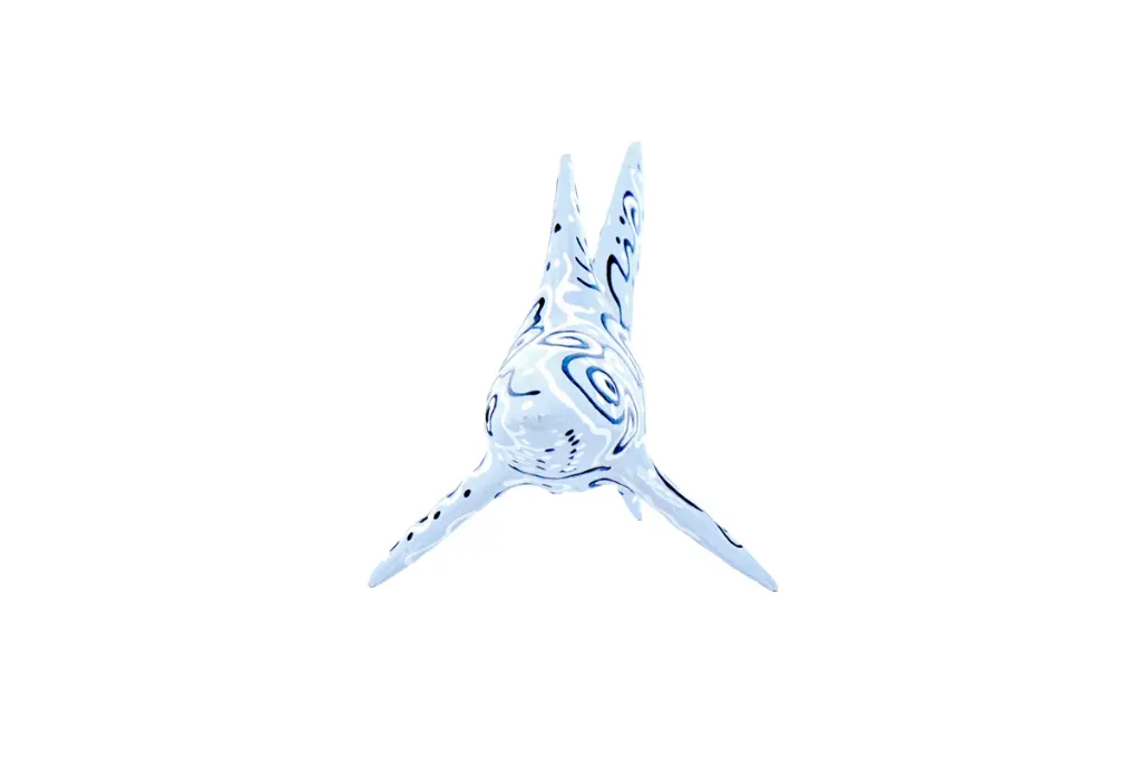 SHARKDA22-01 (7).webp