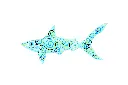 SHARKDA22-03 (5).webp