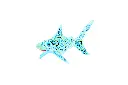 SHARKDA22-03 (6).webp