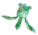 TURTLDA32-01(2).webp