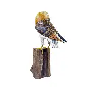 OWLBAW20 (4).webp